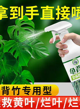 免稀释龟背竹专用营养液专用肥料龟背竹琴叶榕绿植盆栽植物通用