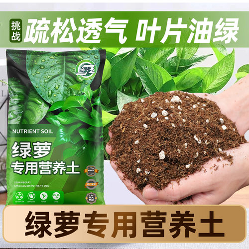 绿萝专用营养土家用通用泥炭