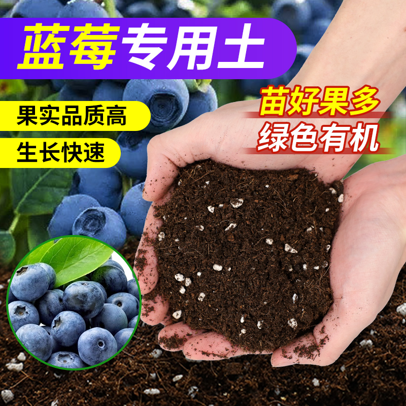 蓝莓专用营养土蓝莓树果树土壤
