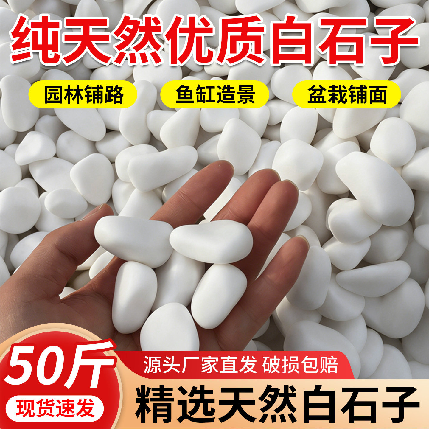 白石子白色大鹅卵石小白石头石子户外庭院铺路铺地造景景观石颗粒
