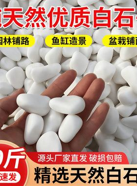 白石子白色大鹅卵石小白石头石子户外庭院铺路铺地造景景观石颗粒