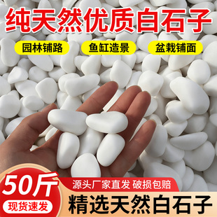 白石子白色大鹅卵石小白石头石子户外庭院铺路铺地造景景观石颗粒