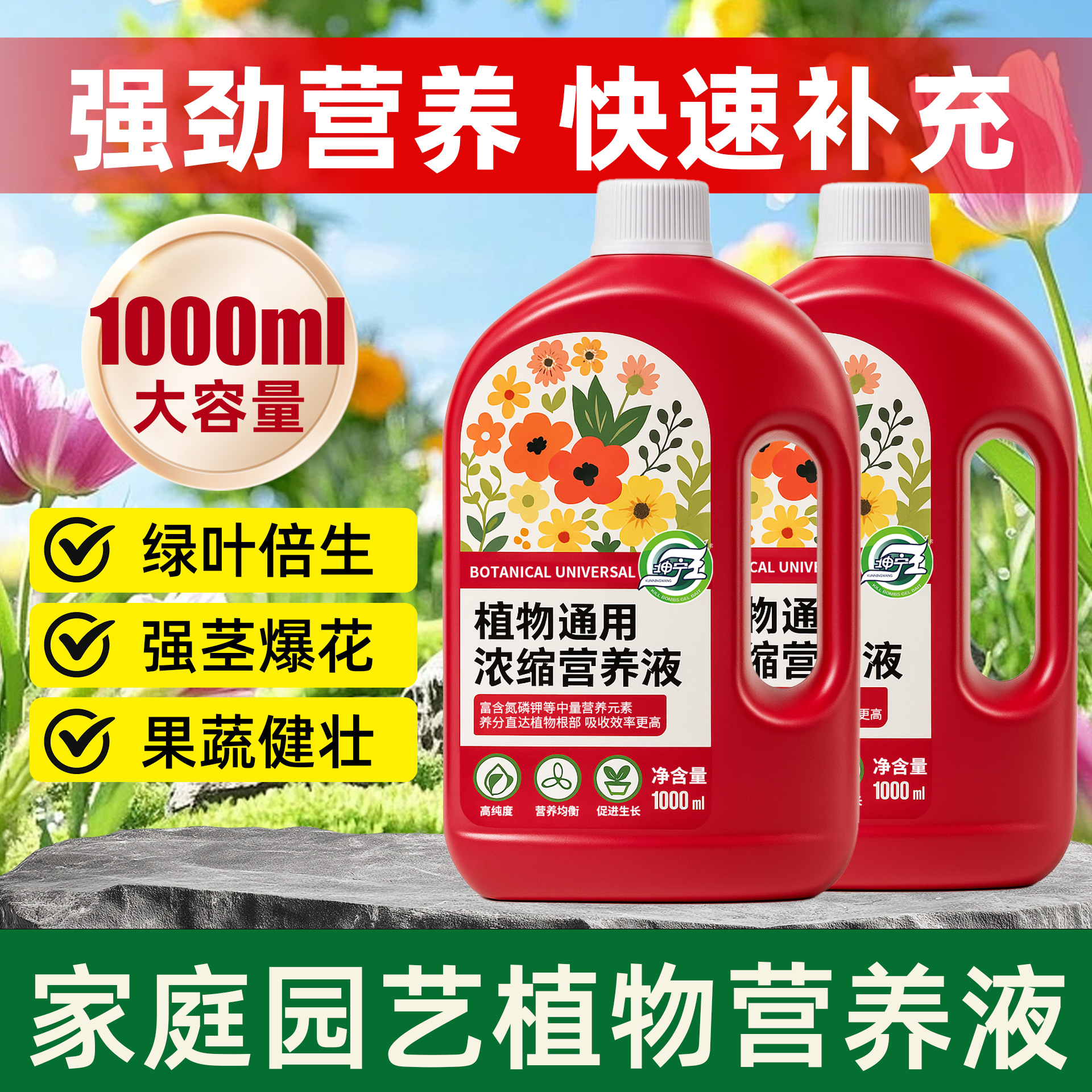 幸福树专用蝴蝶兰专用营养液