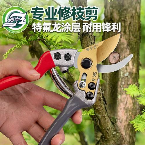 坤宁王园艺剪刀剪树枝修枝剪花剪园林修剪粗枝剪子省力花艺工具