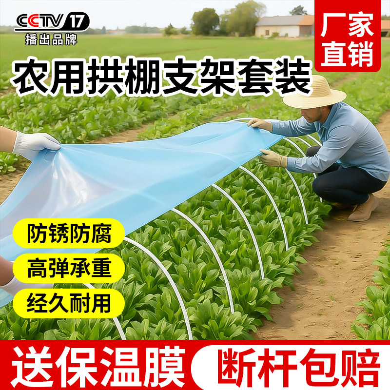 小拱棚专用膜薄膜小拱棚