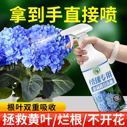 绣球专用营养液促进开花