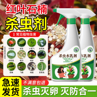 红叶石楠杀虫剂虫害非专用蚜虫药长虫驱虫除虫治虫防虫腻虫白粉虱