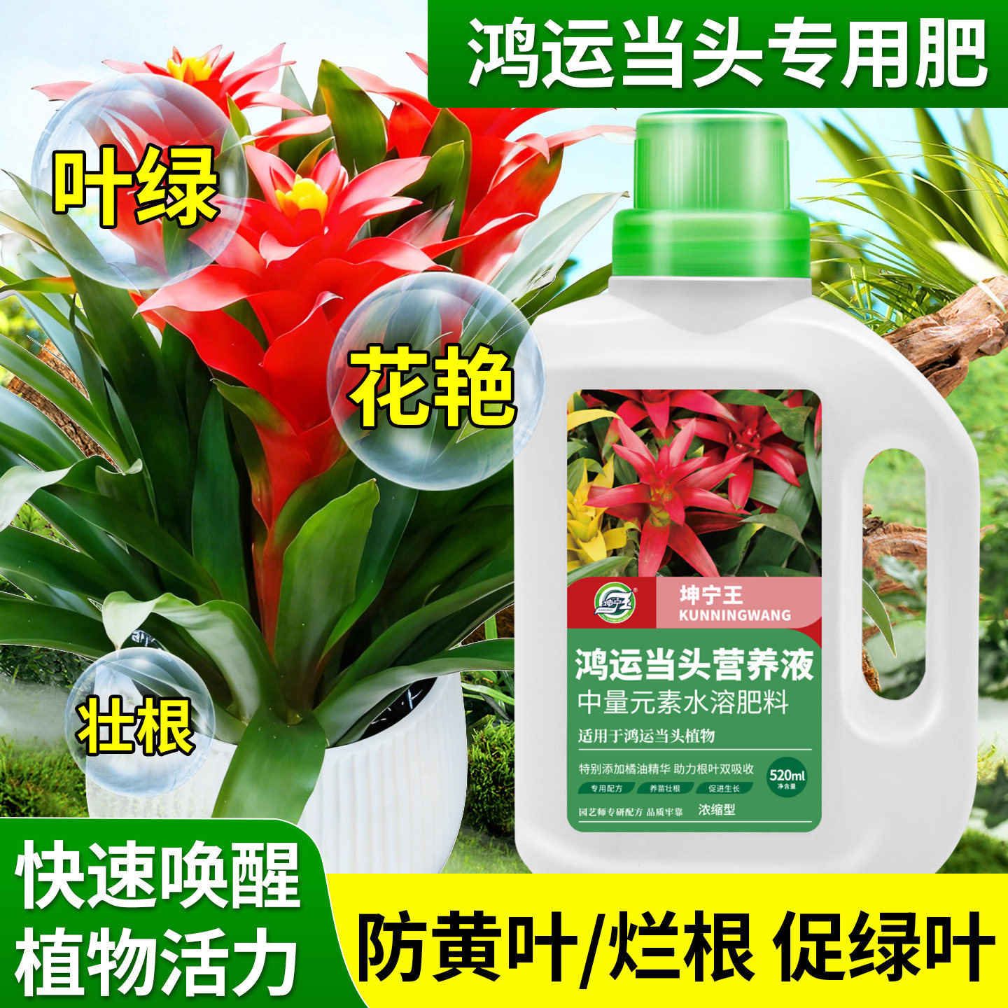坤宁王鸿运当头专用水溶营养液盆栽花卉促开促绿叶壮根凤梨花专用,鲜花速递/花卉仿真/绿植园艺,家庭园艺肥料,淘宝优惠券,粉丝福利购,淘宝优惠卷