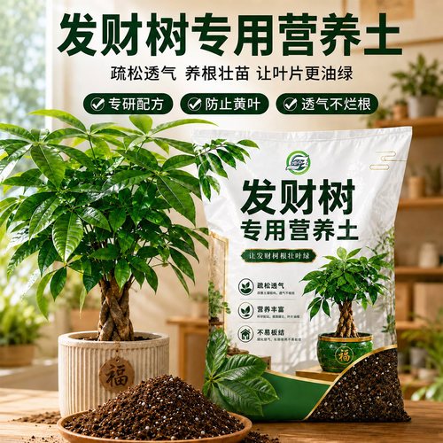 种发财树专用土营养土发财树肥料专用土家用花土盆栽绿植种植土壤