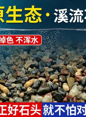 溪流石鱼缸底砂造景专用天然溪流砂鹅卵石龟缸水族箱免洗原生底沙