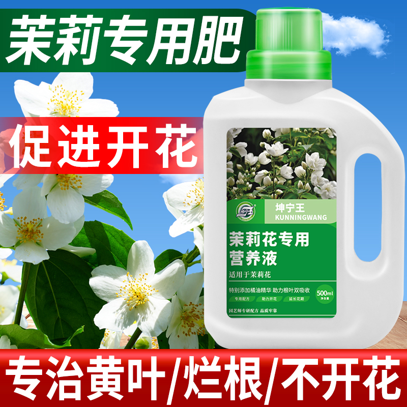 坤宁王茉莉花专用营养液促进开花