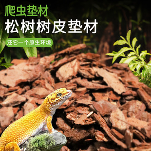 爬宠垫材垫料森林地表松树皮守宫蜥蜴蛇乌龟爬虫造景生态昆虫陆龟