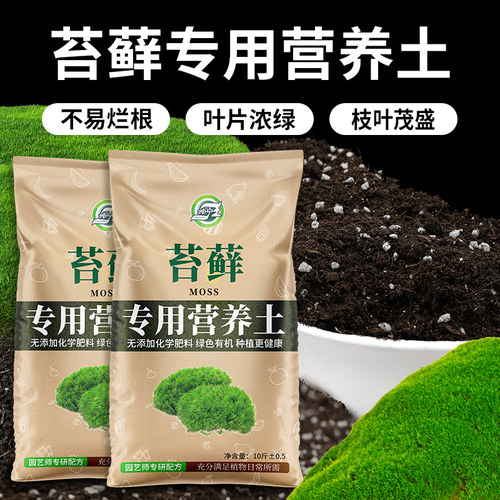 苔藓专用营养土盆栽盆景苔藓肥料