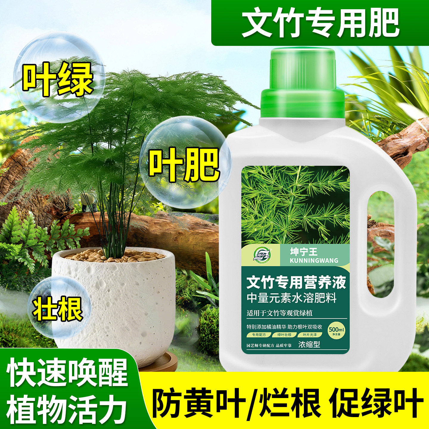 文竹专用营养液植物肥料叶肥灌根通用促绿叶防黄促根壮根浓缩型,鲜花速递/花卉仿真/绿植园艺,家庭园艺肥料,淘宝优惠券,粉丝福利购,淘宝优惠卷