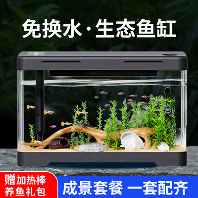 新手适用透明度高不漏水免换水