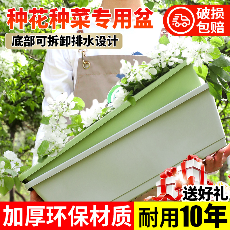 【特大加厚】阳台种菜盆种植神器