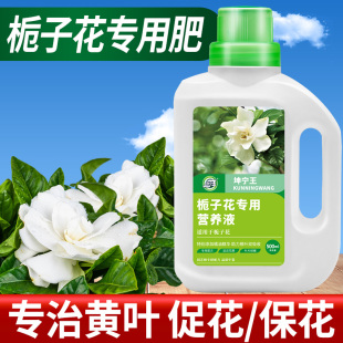 栀子花肥料专用肥营养液开花植物家用养花专用盆栽通用型酸性花肥