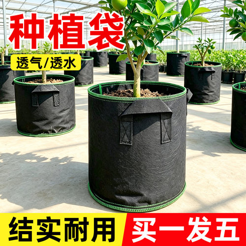 坤宁王无纺布种植袋美植袋