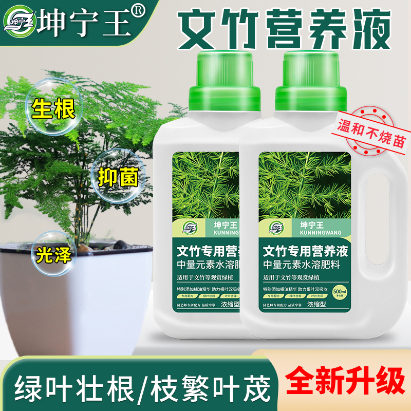 文竹肥料专用营养液专治黄叶干枯烂根家用盆栽文竹专用有机营养液