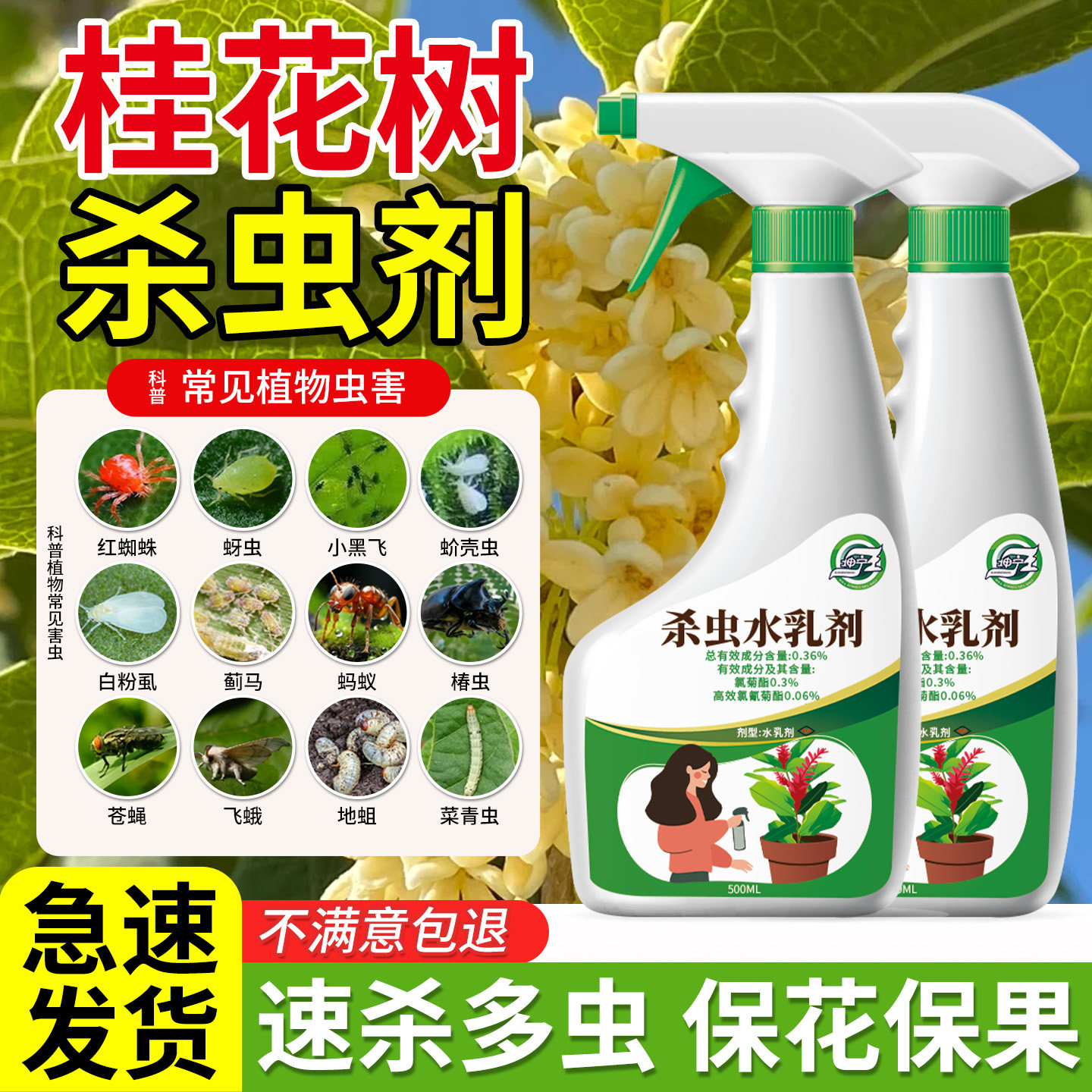 桂花树杀虫剂桂花杀虫药灭红蜘蛛蚧壳虫害花卉植物驱虫除虫剂专用