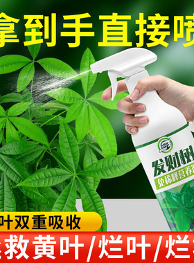 免稀释发财树专用营养液花肥料室内盆栽植物金钱树花卉绿植喷施肥