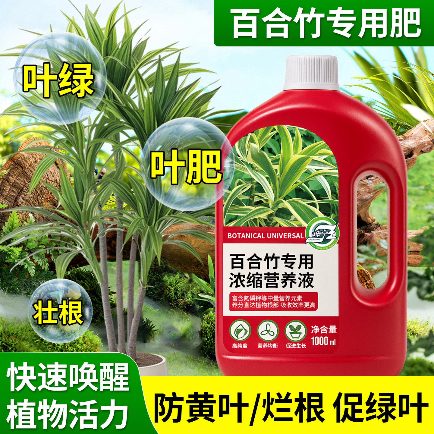 百合竹专用营养液金边百合竹专用治黄叶烂根绿植盆栽专用生根促长,鲜花速递/花卉仿真/绿植园艺,家庭园艺肥料,淘宝优惠券,粉丝福利购,淘宝优惠卷