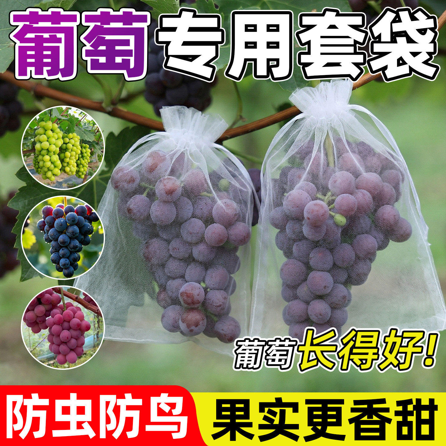 葡萄套袋专用防虫防鸟网袋水果草莓神器保护纱网袋子阳光玫瑰套袋