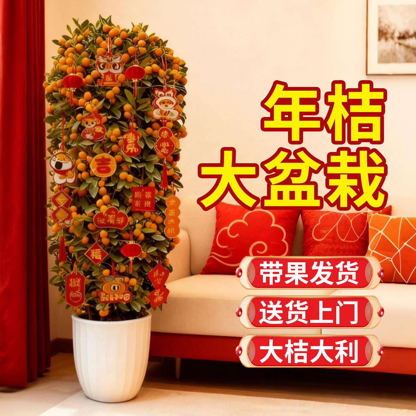 金桔盆栽带果树苗脆蜜金桔矮化四季桔室内外小橘子盆景年宵花好养,鲜花速递/花卉仿真/绿植园艺,大型绿植/成品组合盆栽,淘宝优惠券,粉丝福利购,淘宝优惠卷