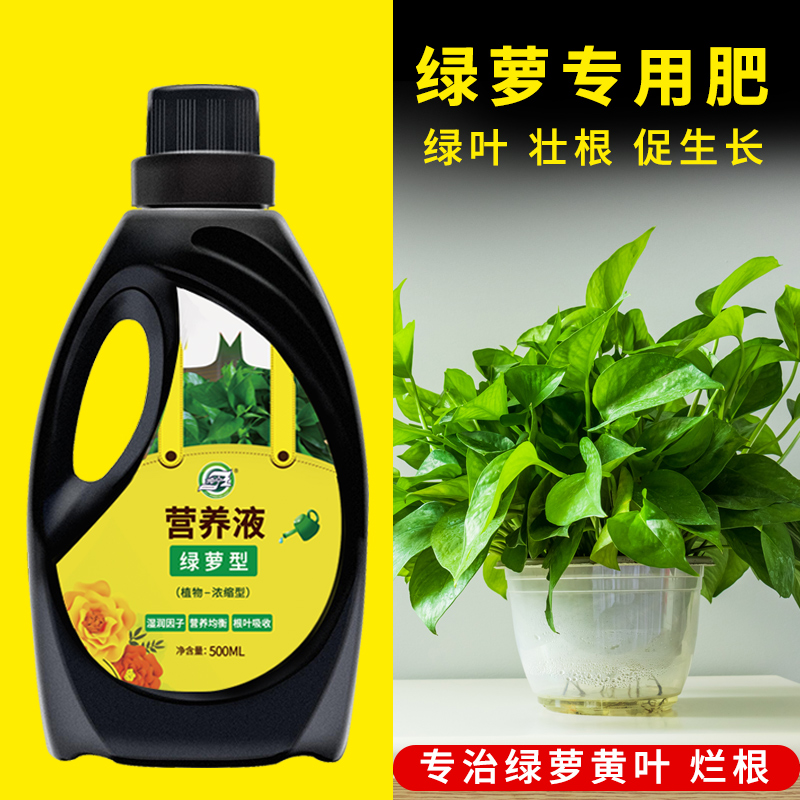 绿萝专用营养液盆栽绿萝专用肥料家用肥料吊兰水培植物通用液体 绿萝专用营养液盆栽绿萝专用肥料家用肥料吊兰水培植物通用液体