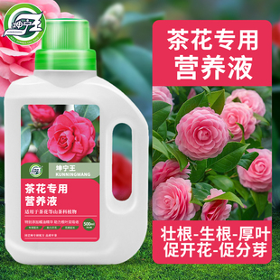 茶花专用营养液山茶花肥料专用肥催花开花液体肥酸性植物营养液