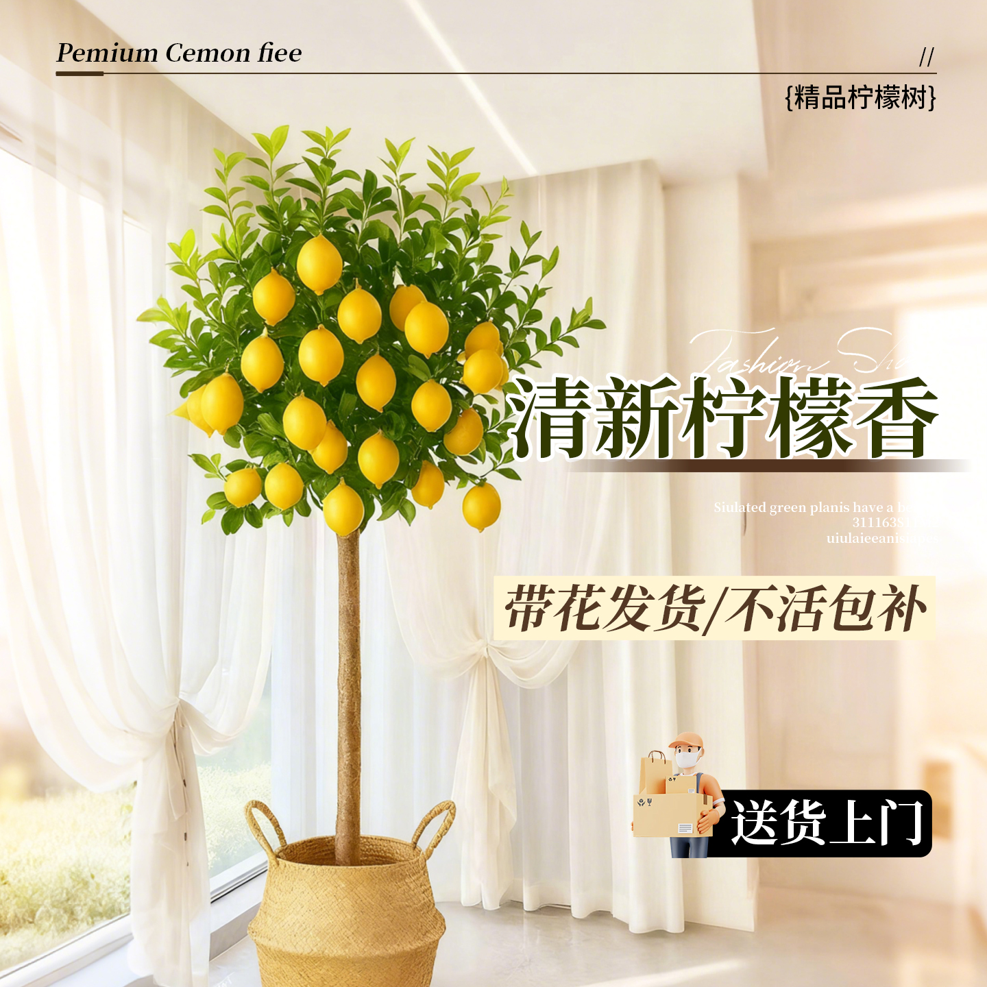 香水柠檬树盆栽带果四季可食用