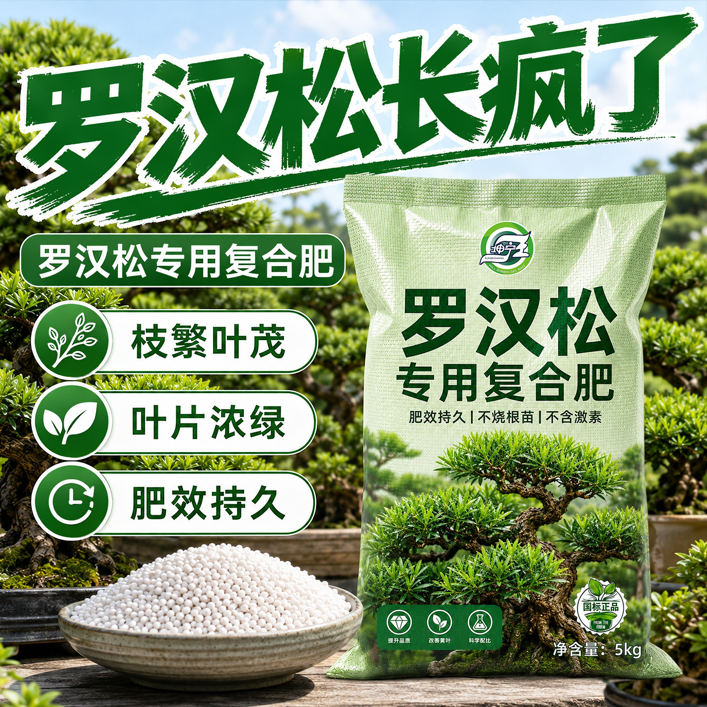 罗汉松专用复合肥家用盆栽治黄叶防烂根氮磷钾肥三元肥官方正品肥图片