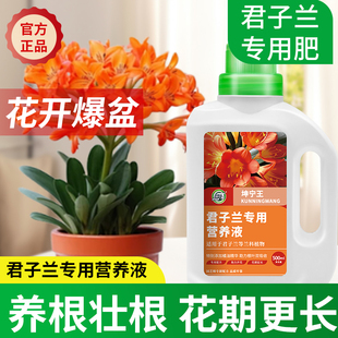 君子兰肥料专用营养液室内盆栽兰科植物促箭剂专治不开花黄叶病