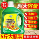 营养液植物通用型绿萝富贵竹发财树多肉水培养花卉绿植盆栽花肥料