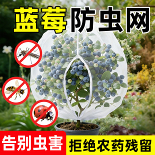 蓝莓专用套袋透气透光防虫网罩园艺种植防鸟网袋重复使用防鸟网袋