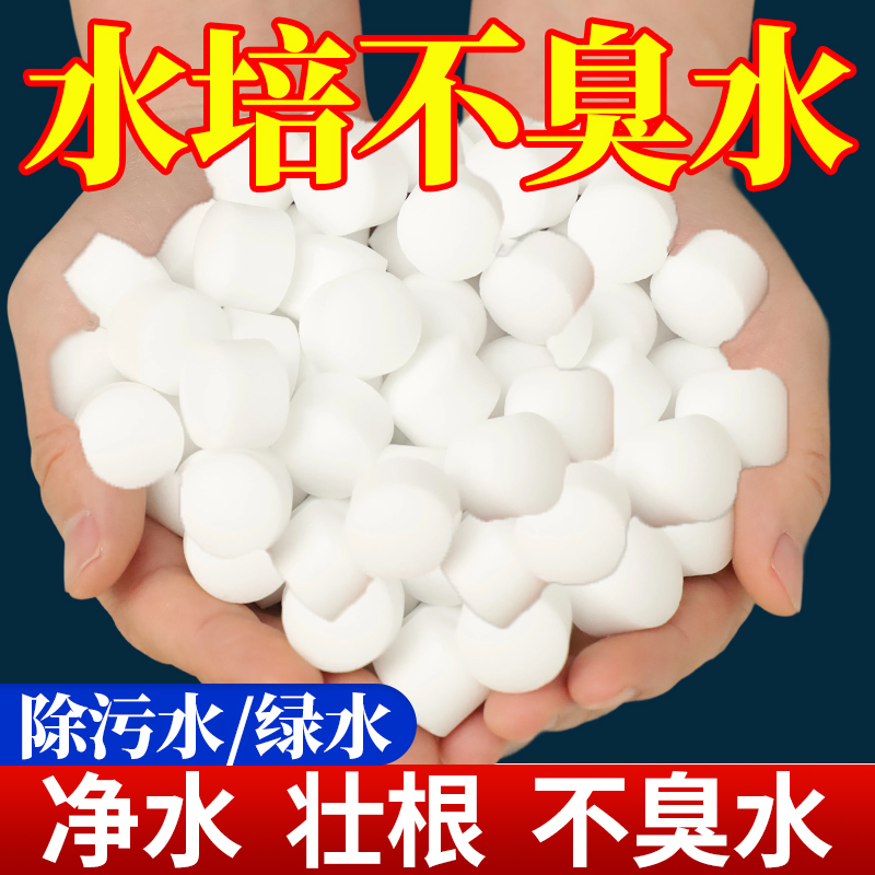 水培植物净水片除臭去腥抑菌富贵竹碗睡莲专用净化水质鲜花保鲜片