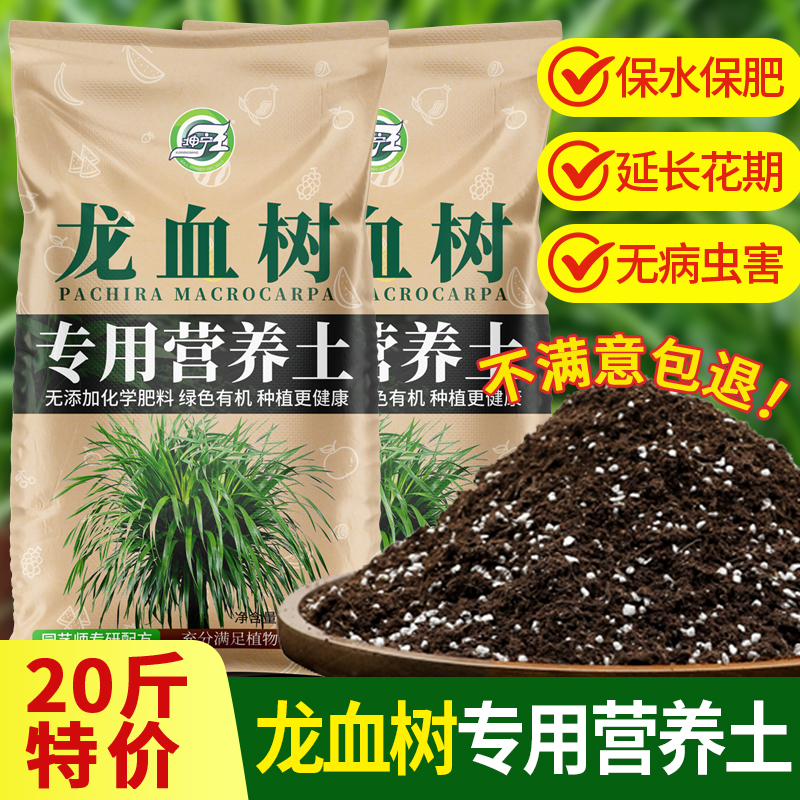 龙血树专用营养土客厅绿植有机土壤龙血树专用肥料土质疏松含菌少