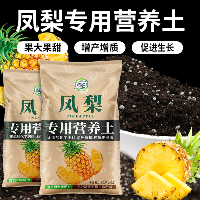 凤梨专用土果树营养土有机肥料土
