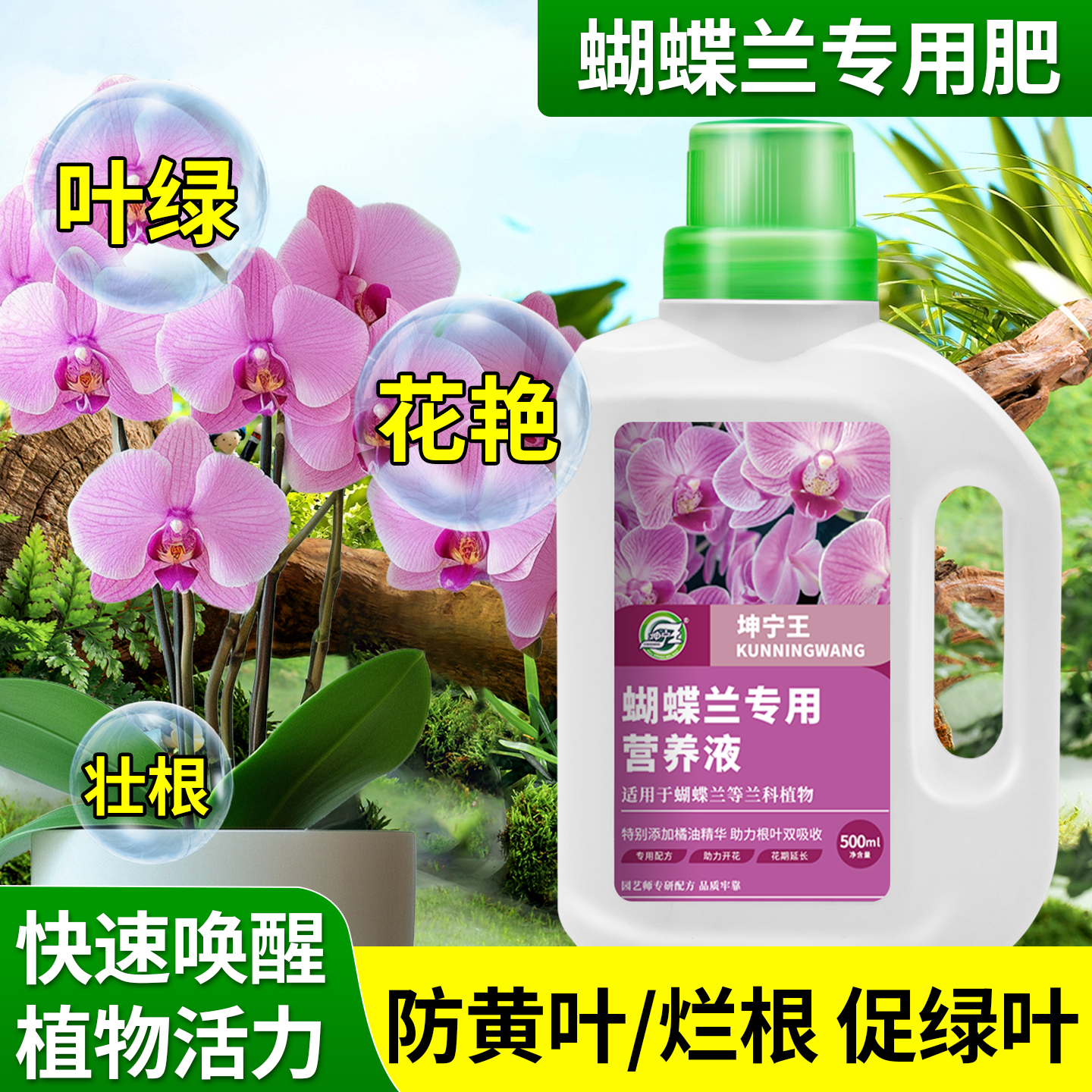 蝴蝶兰专用植物营养液兰科君子兰墨兰促进开花催箭防烂根壮根壮苗,鲜花速递/花卉仿真/绿植园艺,家庭园艺肥料,淘宝优惠券,粉丝福利购,淘宝优惠卷