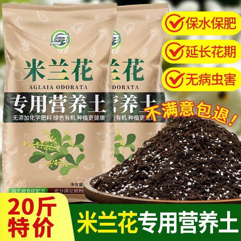 米兰花专用土促进开花养分均衡图片