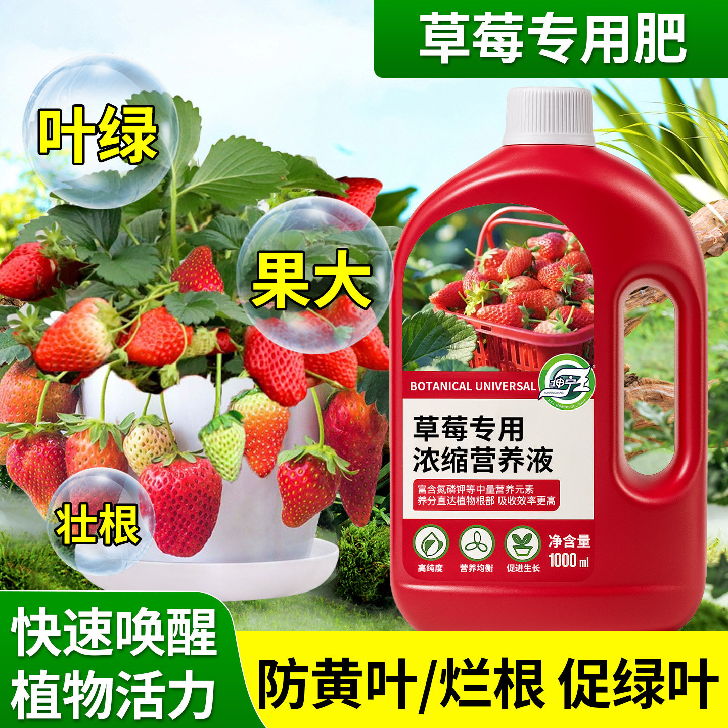 草莓专用浓缩营养液草莓生长期专用肥促生长防黄叶烂根促花促果,鲜花速递/花卉仿真/绿植园艺,家庭园艺肥料,淘宝优惠券,粉丝福利购,淘宝优惠卷