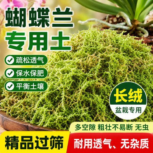 5A水苔兰花蝴蝶兰专用营养土
