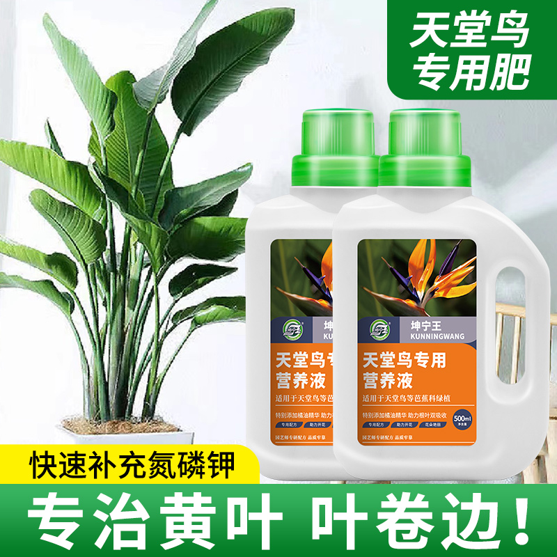 天堂鸟专用营养液专治黄叶卷叶