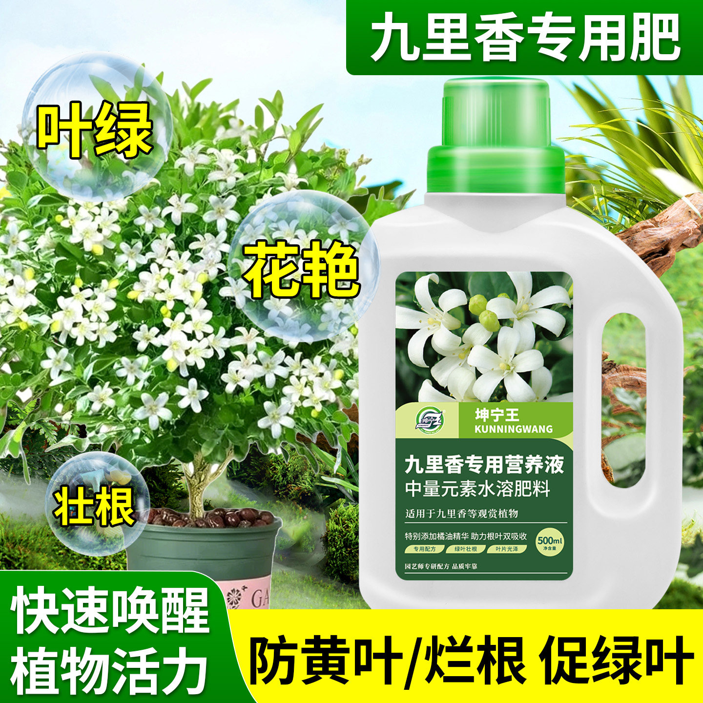坤宁王九里香专用植物水溶肥营养液生根催花促绿叶花艳叶面肥灌根,鲜花速递/花卉仿真/绿植园艺,家庭园艺肥料,淘宝优惠券,粉丝福利购,淘宝优惠卷
