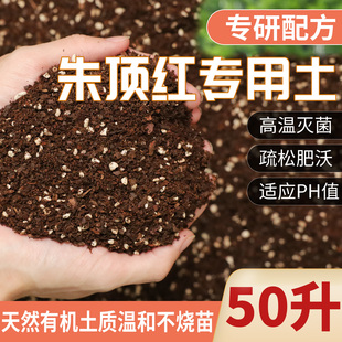 朱顶红专用土球根种球花卉通用营养土养花种植土壤家用有机土肥料