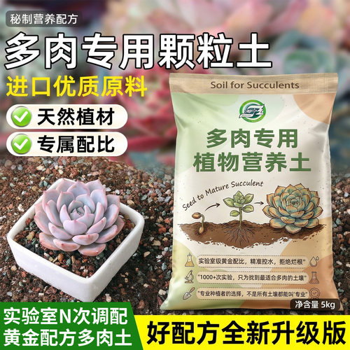 进口多肉颗粒土配方透气不烂根