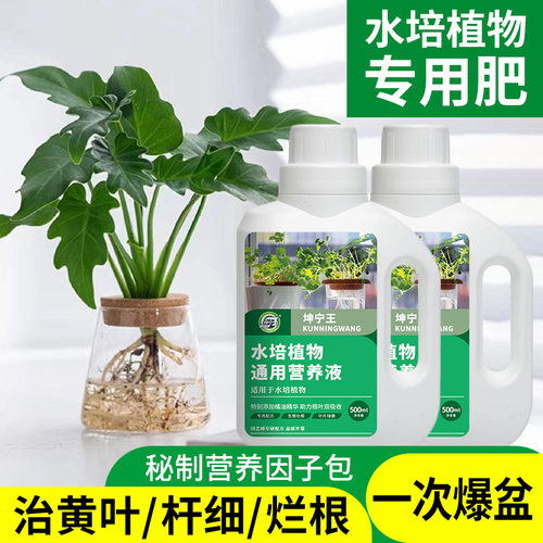坤宁王水培专用营养液
