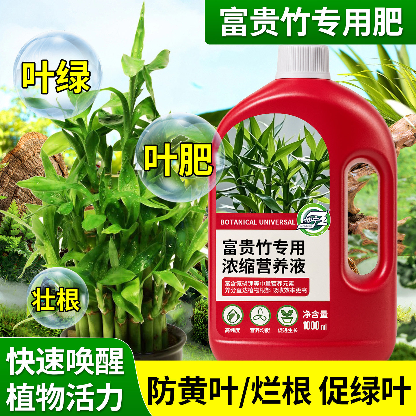 富贵竹专用植物营养液防黄叶促生长植物专用型肥料土培水培通用,鲜花速递/花卉仿真/绿植园艺,家庭园艺肥料,淘宝优惠券,粉丝福利购,淘宝优惠卷