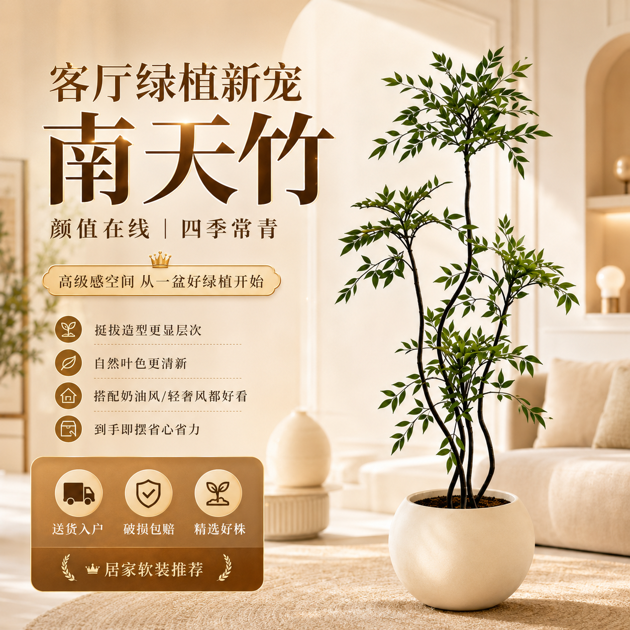 南天竹盆栽客厅真树室内绿植大型植物树苗办公室火焰老桩落地造景