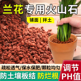 火山石园艺造景多肉兰花植物通用型盆栽花盆铺面专用大口径火山石